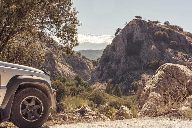 Off-Road Performance: What You Need to Know